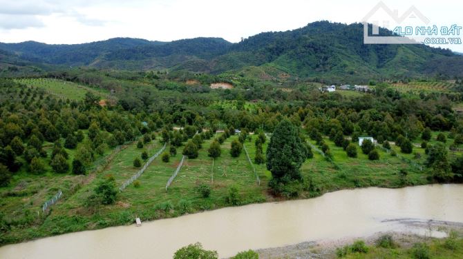 Bán lô đất xã Phước Lộc, Đa Oai, Lâm Đồng: 11,5( nở hậu: 13) x 94m, giá 1,89 tỷ - 6