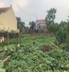 Phù lỗ 105m ngay trung tâm chợ Phù Lỗ .Sẵn sổ giao dịch nhanh