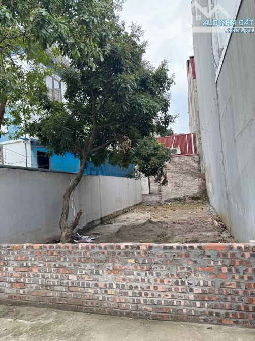 BÁN LÔ ĐẤT MAI LÂM ĐÔNG ANH - MẶT NGÕ TO - DT 67M2 - MT 5M - 2 Ô TÔ TRÁNH ,THÔNG - 2