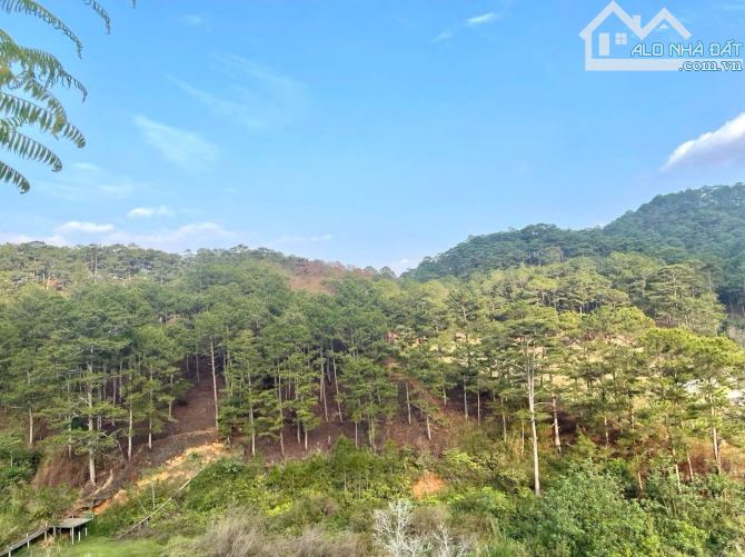 ĐẤT VIEW THÔNG VĨNH VIỄN ĐƯỜNG Ô TÔ LỚN 252M GIÁ 9.1 TỶ