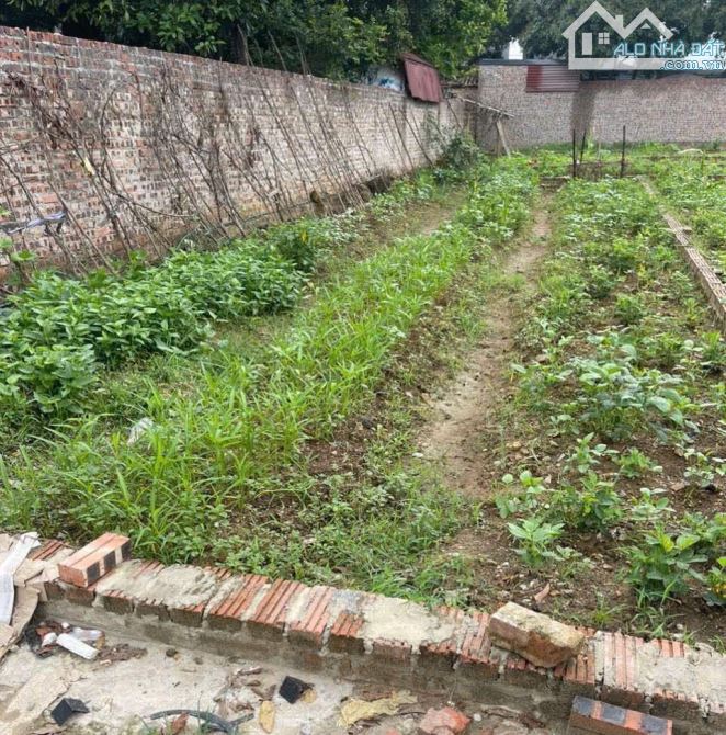 Bán lô đất gần đường Đa Lộc, Kim Chung gần chợ Mun, Tiện ích ngút ngàn