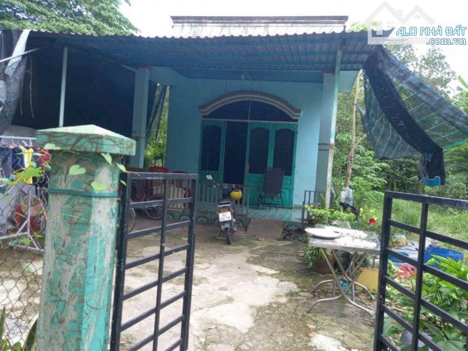 BÁN ĐẤT tặng NHÀ, 2MT, LONG NGUYÊN, BÀU BÀNG, DT: 6x59, TC50M2, SHR, GIÁ 1,650 TỶ - 1