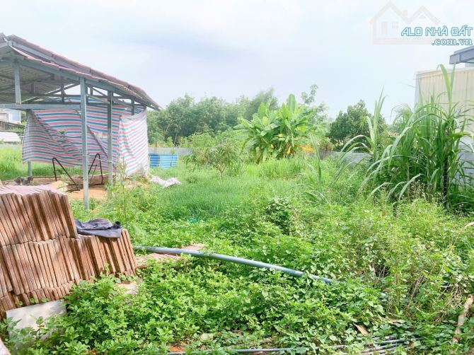 Chính chủ cần bán lô đất 750m2 sát Quốc Lộ 13, sát cây xăng Thới Hòa, gần đại học Việt Đức - 1