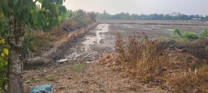 BÁN 8.000M VUÔNG ĐẤT LÚA MẶT TIỀN QUỐC LỘ 61C XÃ HOẢ LỰU THÀNH PHỐ VỊ THANH HẬU GIANG - 1