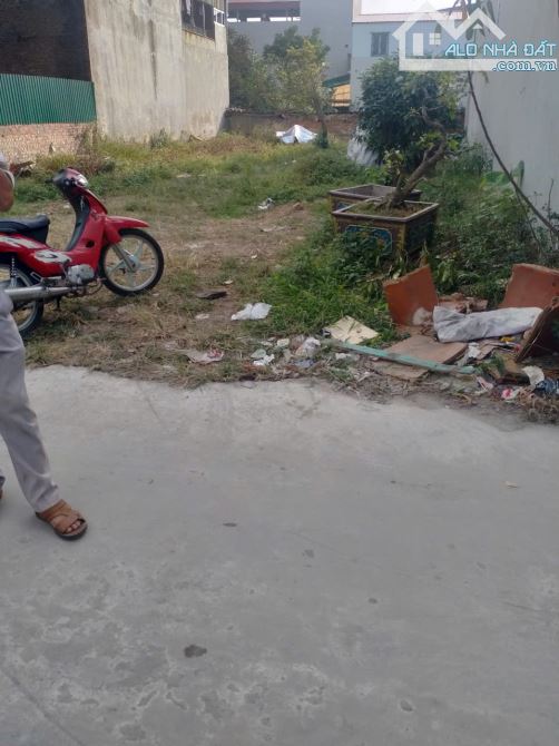 BÁN ĐẤT ĐẸP MAI ĐÌNH  ĐƯỜNG TRỤC CHÍNH Ô TÔ TRÁNH  GIÁ TỐT CHO NHÀ ĐẦU TƯ - 1