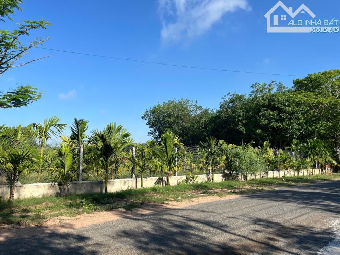 Bán đất thổ cư gần Văn Phòng Khu phố 5 Thị Trấn Tân Biên dt 19,5x62m - 1