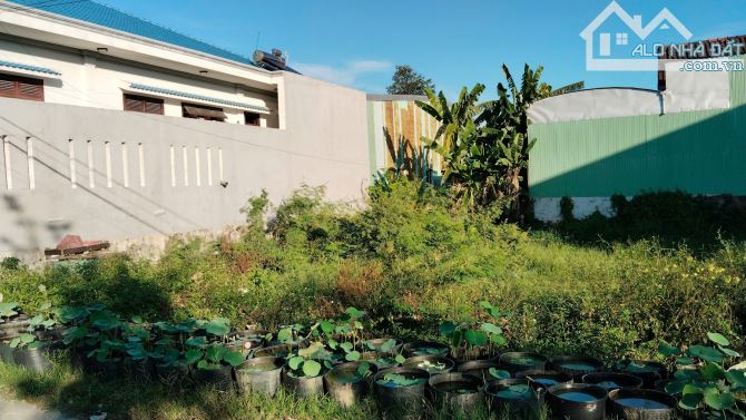 Bán đất Thị trấn Nam Phước, Duy Xuyên, 1 tỷ 750, 126 m2, mặt tiền 7m, vuông đẹp, đường 7m5 - 1