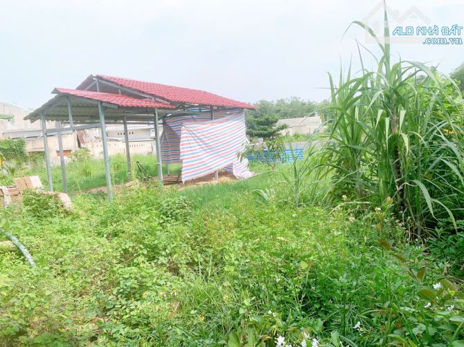 Chính chủ cần bán lô đất 750m2 sát Quốc Lộ 13, sát cây xăng Thới Hòa, gần đại học Việt Đức - 15