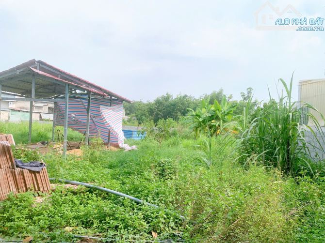 Chính chủ cần bán lô đất 750m2 sát Quốc Lộ 13, sát cây xăng Thới Hòa, gần đại học Việt Đức - 16