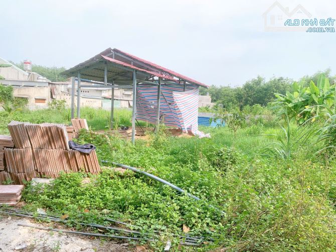 Chính chủ cần bán lô đất 750m2 sát Quốc Lộ 13, sát cây xăng Thới Hòa, gần đại học Việt Đức - 19