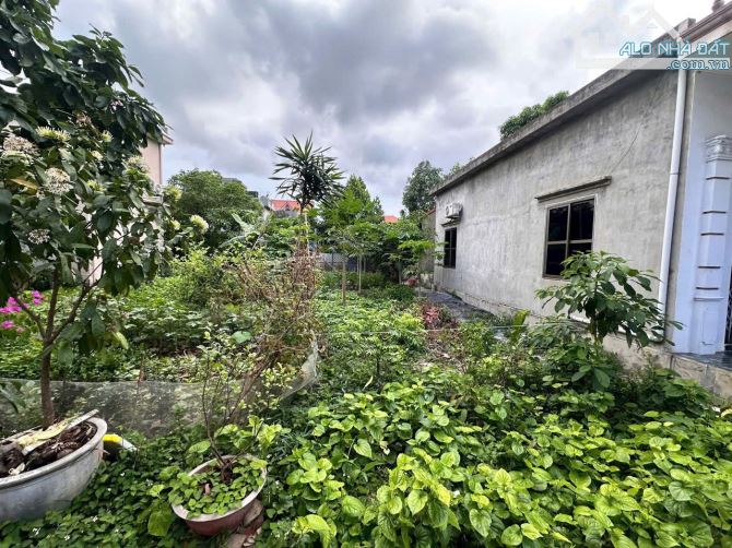 🌾🌾 Bán lô đất, Cam lộ 5, hùng vương, Hồng bàng, giá 1,5 tỷ, 90m2📸📸 - 2