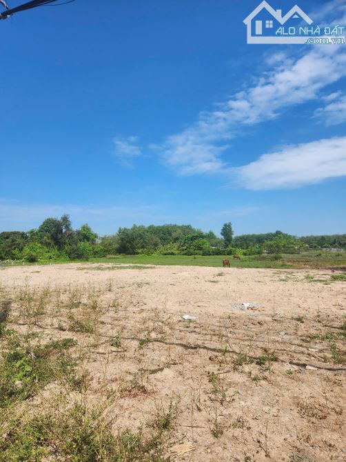 🏡 BÁN ĐẤT NỀN MẶT TIỀN TỈNH LỘ 7 – AN NHƠN TÂY, CỦ CHI - 2