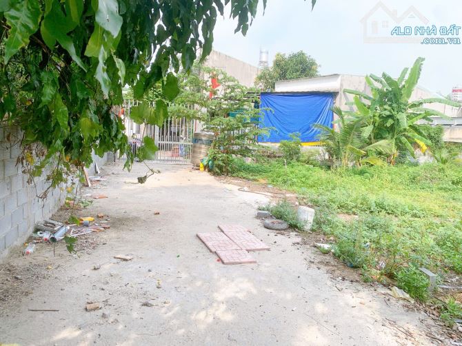 Chính chủ cần bán lô đất 750m2 sát Quốc Lộ 13, sát cây xăng Thới Hòa, gần đại học Việt Đức - 2