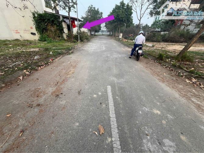 Cần bán đất khu tái định cư thôn Bắc Hạ - Quang Tiến - Sóc Sơn - Hà Nội. Cam kết bán đúng - 2