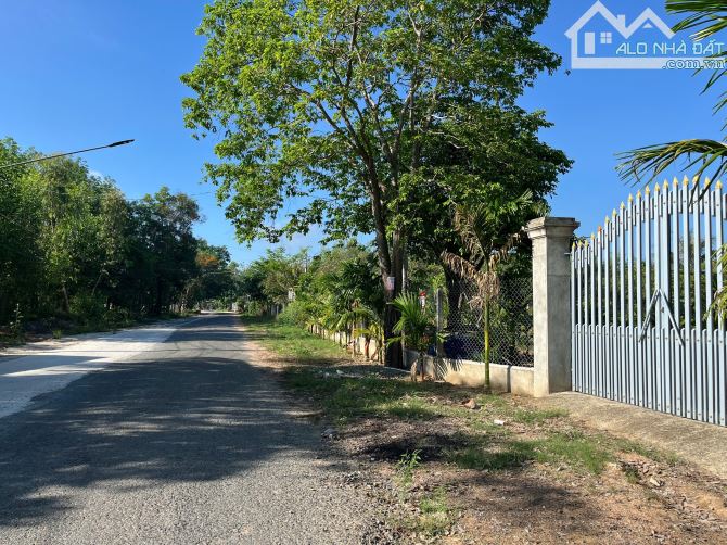 Bán đất thổ cư gần Văn Phòng Khu phố 5 Thị Trấn Tân Biên dt 19,5x62m - 2