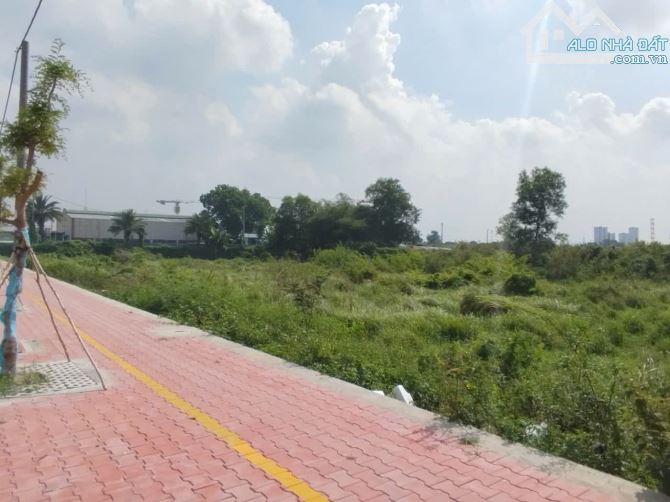 💥💥SIÊU LÔ GÓC MẶT TIỀN NGUYỄN CỬU PHÚ – VÕ VĂN KIỆT – HƠN 6.700M2 ĐẤT VÀNG ĐẮC ĐỊA - 2