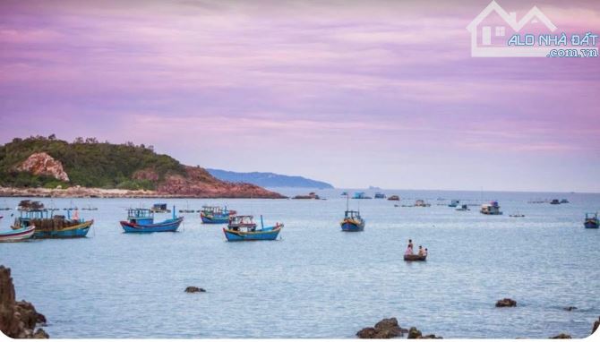 🌊 CẦN BÁN ĐẤT MẶT TIỀN BIỂN – KHU DU LỊCH BÃI XÉP – TP. QUY NHƠN 🌊 - 2
