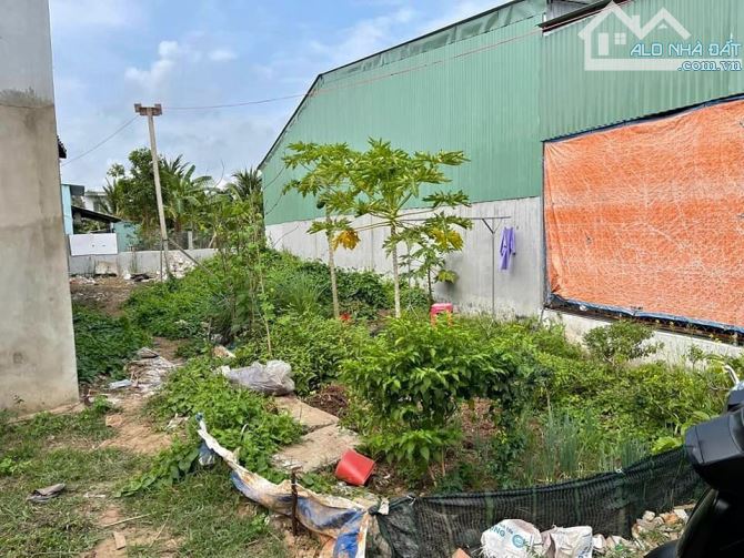 BÁN GẤP Lô đất 129m2 SHR, Tân Thông Hội, Củ Chi. Giá 650 triệu - 3