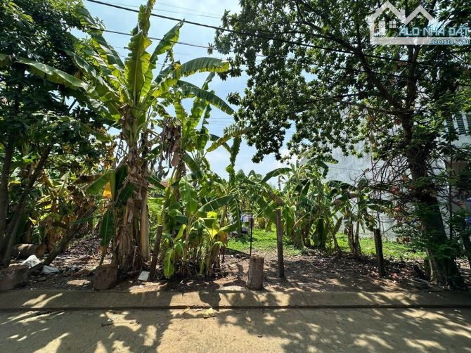 Bán đất HXH phường Long Phước (cạnh Vinhome Grand Park); 4x21m; pháp lý chuẩn; rẻ bất ngờ - 3