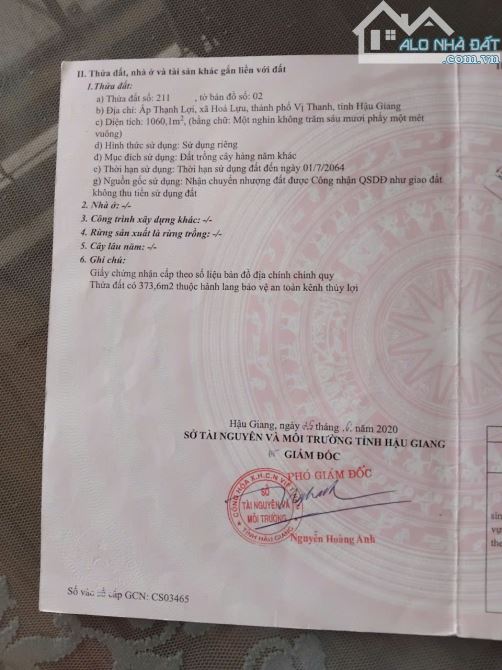 BÁN 8.000M VUÔNG ĐẤT LÚA MẶT TIỀN QUỐC LỘ 61C XÃ HOẢ LỰU THÀNH PHỐ VỊ THANH HẬU GIANG - 3