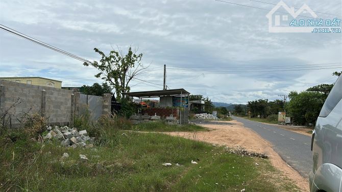 Bán đất 1228m2 tại đường ĐT 711, Thuận Hòa, Hàm Thuận Bắc, Bình Thuận, giá cực chất - 3