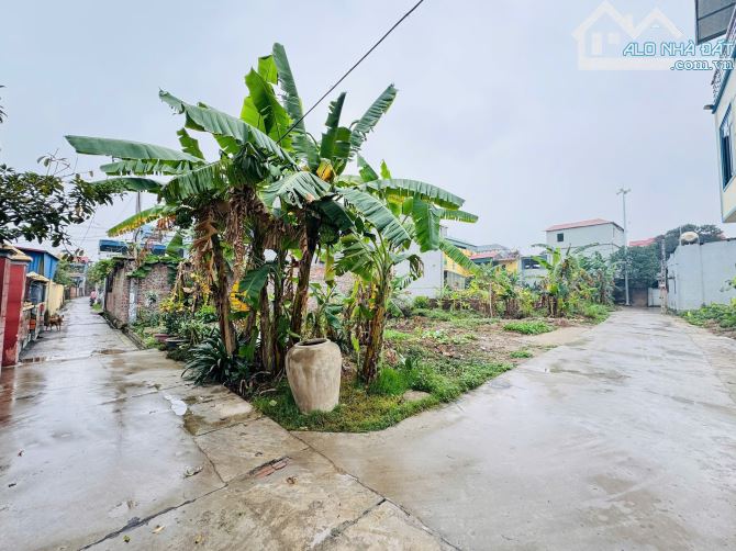 Bán đất Phù Trì, Kim Hoa, Mê Linh, đất vuông vắn, đường thông tứ phía, ô tô đỗ cửa - 3