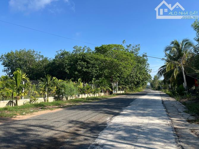Bán đất thổ cư gần Văn Phòng Khu phố 5 Thị Trấn Tân Biên dt 19,5x62m - 3