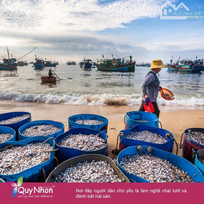 🌊 CẦN BÁN ĐẤT MẶT TIỀN BIỂN – KHU DU LỊCH BÃI XÉP – TP. QUY NHƠN 🌊 - 3