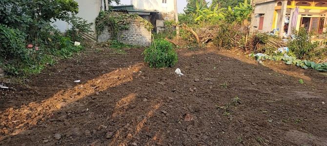 Cần bán 80m2 mt 5m, Giá 1.2 tỷ tại Mạc Xá, xã Quang Phục, Tứ Kỳ - 1
