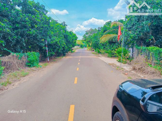 VƯỜN BƠ SAI TRĨU QUẢ TRUNG TÂM XÃ, ĐƯỜNG NHỰA, SẴN THỔ CƯ, GIÁ SIÊU TỐT CHO NHÀ ĐẦU TƯ - 4