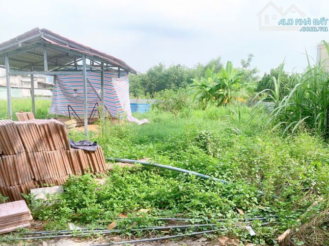 Chính chủ cần bán lô đất 750m2 sát Quốc Lộ 13, sát cây xăng Thới Hòa, gần đại học Việt Đức - 5