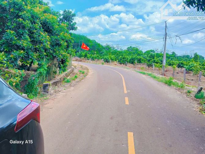 VƯỜN BƠ SAI TRĨU QUẢ TRUNG TÂM XÃ, ĐƯỜNG NHỰA, SẴN THỔ CƯ, GIÁ SIÊU TỐT CHO NHÀ ĐẦU TƯ - 5
