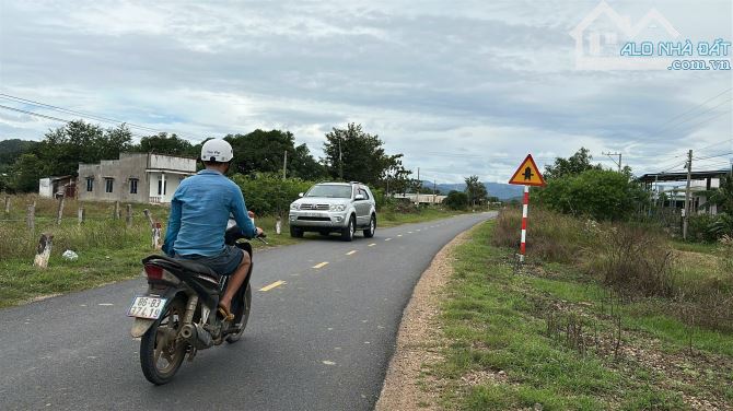 Bán đất 1228m2 tại đường ĐT 711, Thuận Hòa, Hàm Thuận Bắc, Bình Thuận, giá cực chất - 5