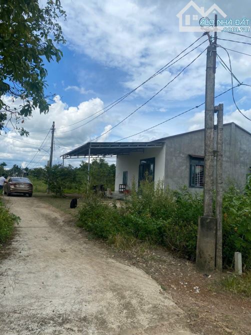 Cukuin-Daklak,360m2 đất,có thổ cư,mặt tiền nhựa ngang 8*40,nở hậu - 6