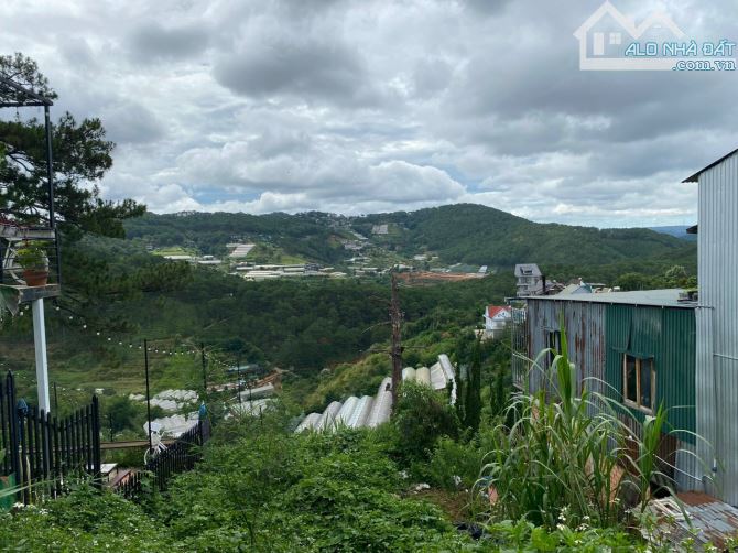 BÁN GẤP Đất biệt thự view vĩnh viễn Hoàng Hoa thám - p10 Đà Lạt. Giá 12 tỷ