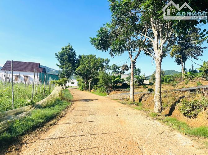 👊 Đất săn mây 5x35m Tại Ninh Loan, Đức Trọng, Lâm Đồng.