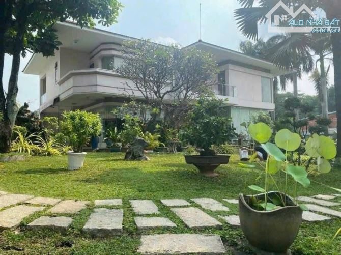 BÁN ĐẤT (19.5x45) TẶNG BIỆT THỰ SÂN VƯỜN VIP – HÀ HUY GIÁP – GIÁ CHỈ 42 TỶ