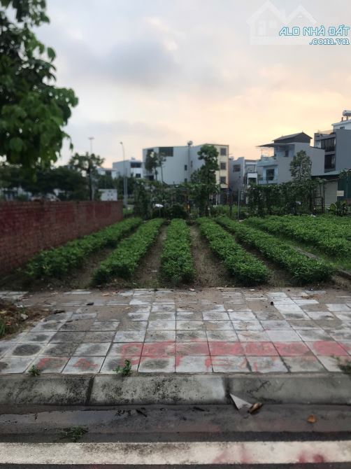 ĐẤT ĐẤU GIÁ DỤC TÚ ĐÔNG ANH, KINH DOANH VỈA HẺ Ô TÔ TRÁNH, SÁT ĐƯỜNG GOM TỨ LIÊN