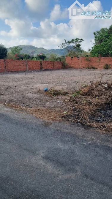 Cần bán nhanh lô đất 192m² mặt tiền đường nhựa xã Tam An, huyện Long Đất giá 1.27 tỷ - 1