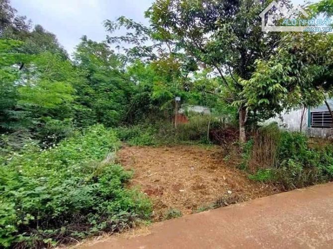 Bán lô đất đẹp sau lưng chợ đầu mối Tân Hòa, mặt tiền đường Lương Anh Quang, đường ngang M - 1