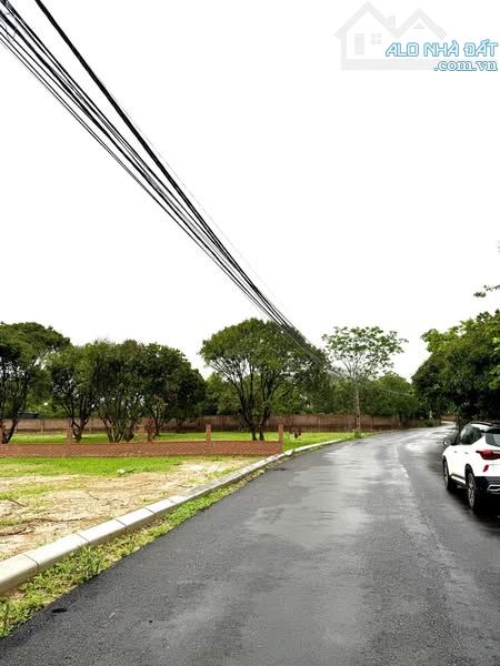 Lô đất hai mặt tiền đường – 1179m² tại T80 Ngọc Thanh – gần Flamingo Đại Lải - 1
