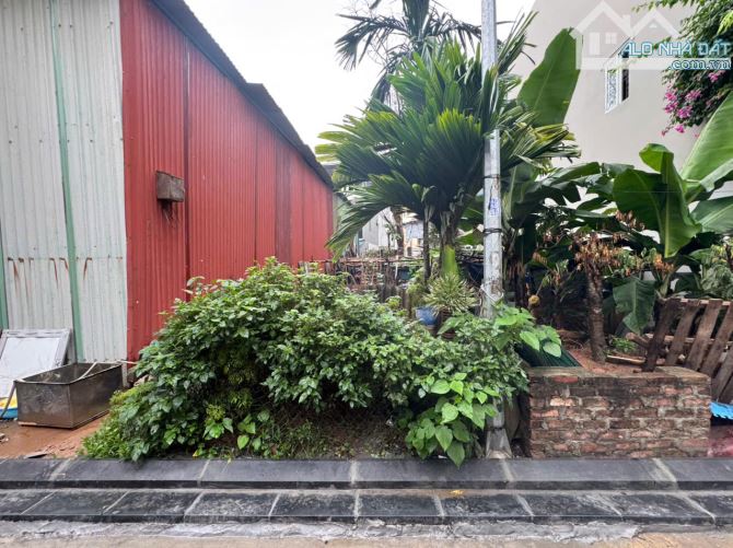 BÁN GẤP 60M2 ĐẤT  –ĐẠI ĐỘ - VÕNG LA, ĐÔNG ANH - 1