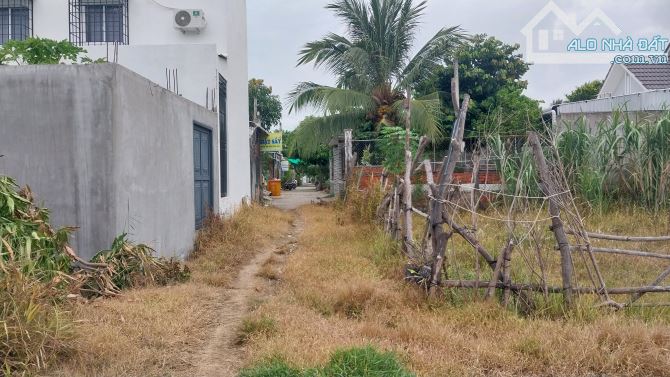 Bán đất hẻm ôtô gần trường ĐH trà vinh p5 tptv - 2