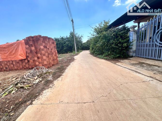 Đất full thổ cư 155m2 giá chỉ 490 triệu, sổ hồng riêng, đường bêtông, gần hồ Trị An - 2