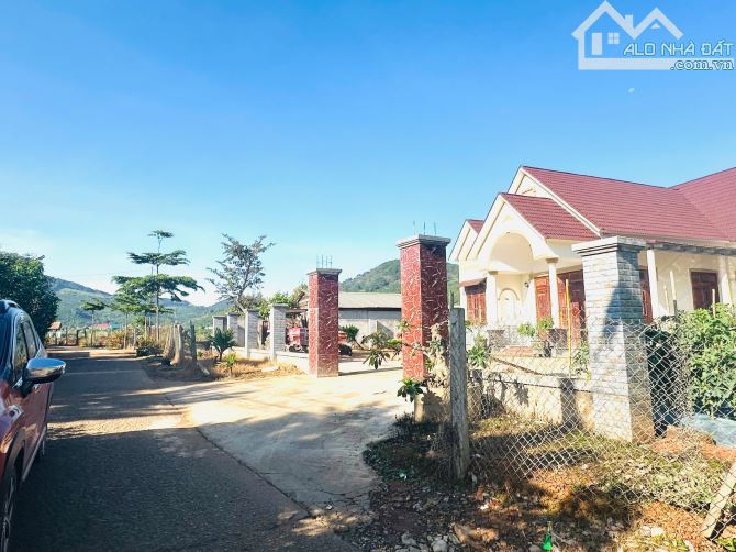 👊 Đất săn mây 5x35m Tại Ninh Loan, Đức Trọng, Lâm Đồng. - 2