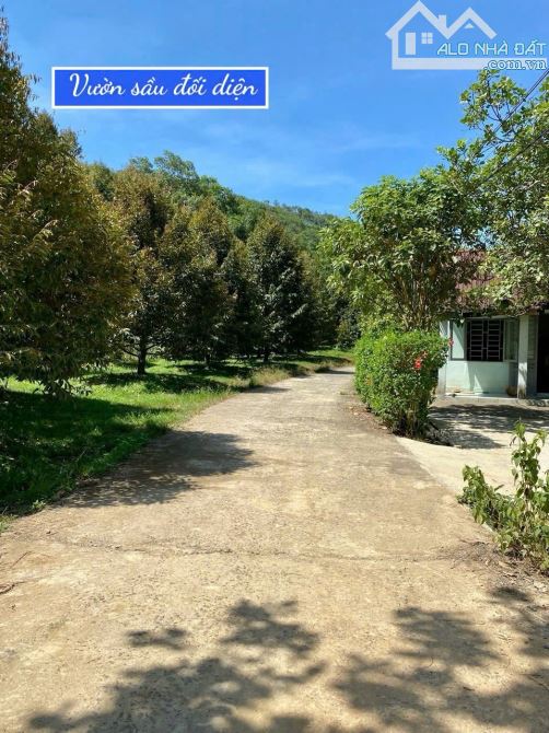 👊 Đất thổ cư 336m2 tại Đạ Lây, Đa Huoai Lâm Đồng giá chỉ từ 279tr - 2