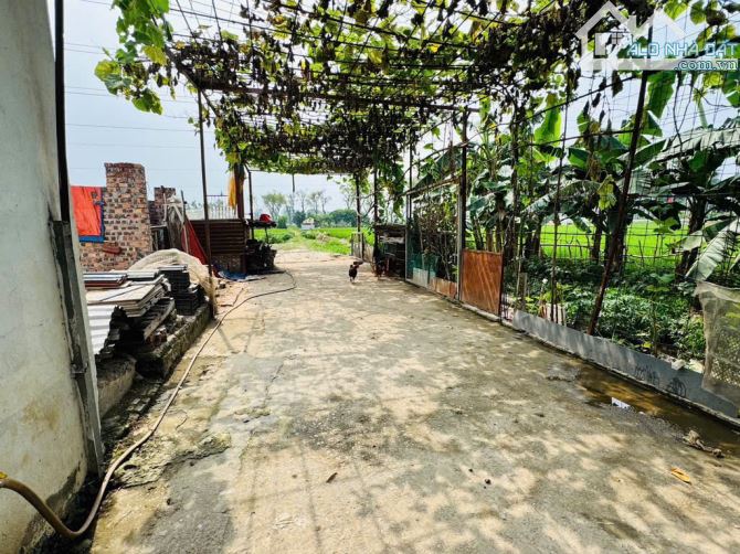 BÁN GẤP 60M2 ĐẤT  –ĐẠI ĐỘ - VÕNG LA, ĐÔNG ANH - 2