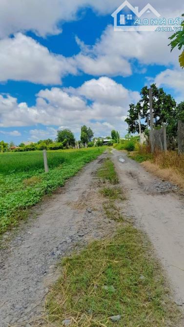 BÁN LÔ ĐẤT VƯỜN 528M2 - ĐỨC HÒA - LONG AN - GIÁ RẺ - GỌI NGAY CHO EM - 3