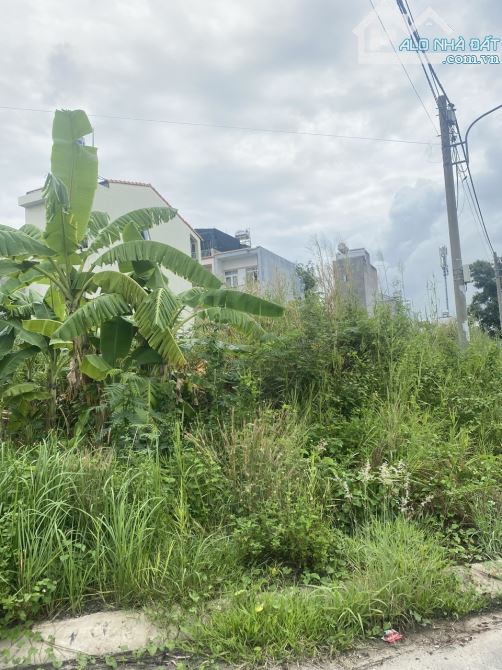 BÁN ĐẤT PHÂN LÔ ĐƯỜNG BƯNG ÔNG THOÀN, PHÚ HỮU – NGANG 5M, 100M2, GIÁ 6.2 TỶ - 3