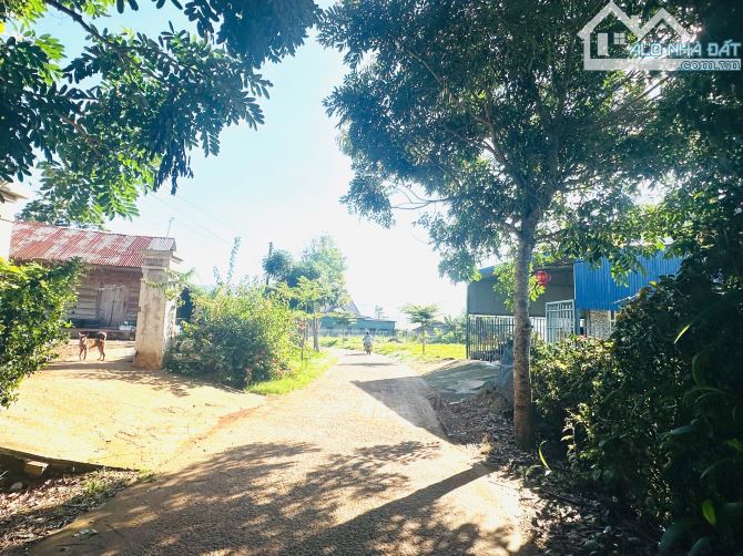 👊 Đất săn mây 5x35m Tại Ninh Loan, Đức Trọng, Lâm Đồng. - 3
